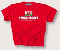 Wales 2022 World Cup Qualification 